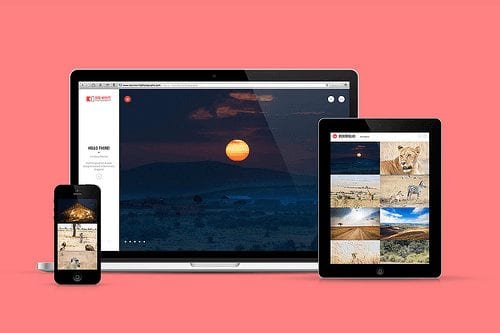 Where to Get Free Magento Responsive Themes