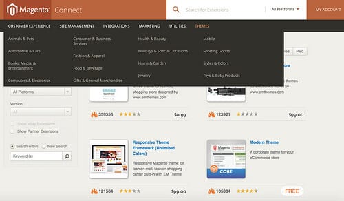 Example themes from the Magento Connect Store